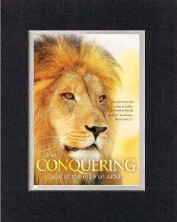 The Conquering: Lion of the Tribe of Judah   Revelation 5:5. . . 8 x 10 Inches Biblical/Religious Verses set in Double Beveled Matting (Black on White)   A Timeless and Priceless Poetry Keepsake Collection   Prints