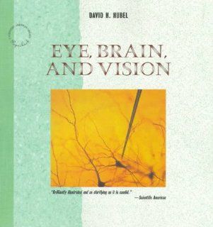 Eye, Brain, and Vision (Scientific American Library Series) 9780716760092 Medicine & Health Science Books @