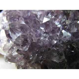 Crystal Allies Specimens: Natural Amethyst Quartz Crystal Cluster from Uruguay   2lbs to 3lbs   Amethyst Geode