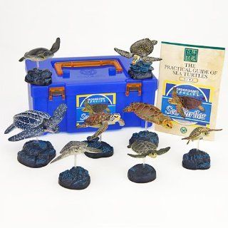 Colorata Sea Turtles Real Figure Book Toys & Games