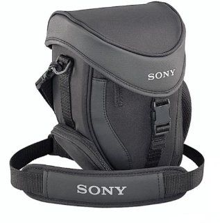 Sony ACC CFM Accessory Kit for DSC F828 & DSC F717 Digital Cameras : Camera & Photo