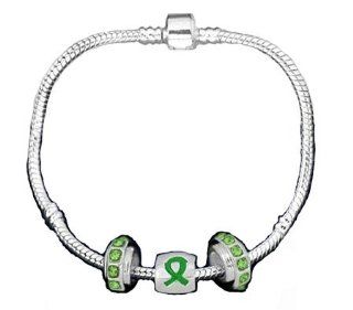 Pandora Style Traumatic Brain Injury Awareness Silver Charm Bracelet: Jewelry