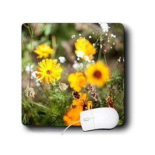 mp_80066_1 Jos Fauxtographee Flowers   A yellow and white wild flower mix   Mouse Pads 