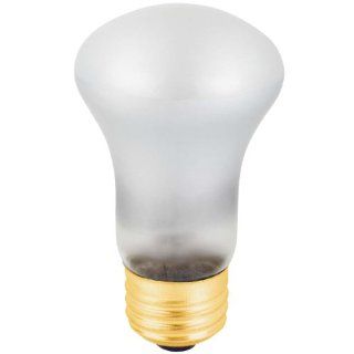 Globe Electric 53624 60 watt R16 Long Life Spot Light Incandescent Medium Base Light Bulb, 2 Pack    