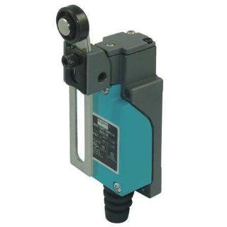 Dayton 12T961 Compact Limit Switch, SPDT, Vrt, Rotary Lvr: Motion Actuated Switches: Industrial & Scientific