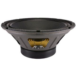 EMINENCE SWAMPTHANG 12 Inch Lead/Rhythm Guitar Speakers: Musical Instruments