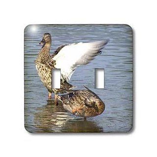 3dRose lsp_50379_2 Female Malard Ducks Bath Time Double Toggle Switch   Switch Plates  