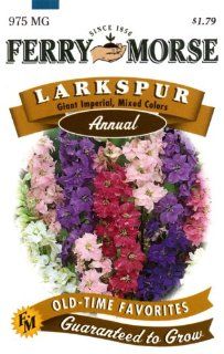 Ferry Morse 1072 Larkspur Annual Flower Seeds, Giant Mix (975 Milligram Packet) (Discontinued by Manufacturer)  Larkspur Plants  Patio, Lawn & Garden