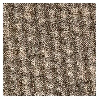 Shaw Carpet Tile Area Tile Open Plains   Household Carpeting