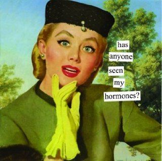 ANNE TAINTOR 20 Beverage Paper Cocktail Napkins All Occasion Fun Retro Gift  "HAS ANYONE SEEN MY HORMONES?" : Wedding Ceremony Accessories : Everything Else