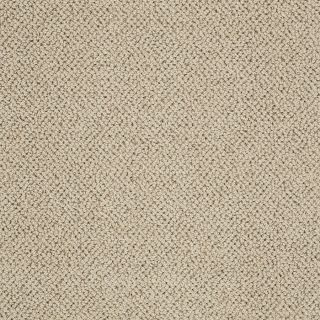 STAINMASTER Trusoft Curtain Call Brownstone Fashion Forward Indoor Carpet