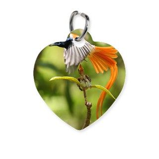adult male Asian Paradise flycatcher Pet Tag by ADMIN_CP_GETTY35497297