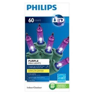Philips 60ct. Purple LED Smooth Mini String Lights   Green Wire  Seasonal Celebration Lighting  