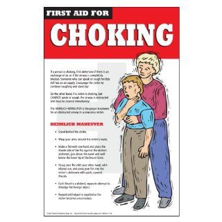 DayMark 112464 Laminated Workplace Safety and Educational Poster, First Aid for Choking, 11" Width x 17" Height Industrial Warning Signs