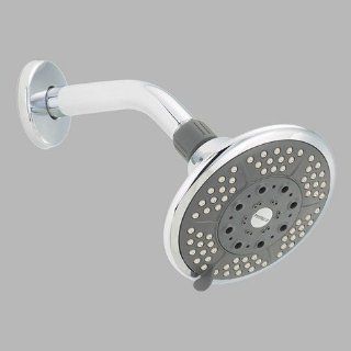 Delta Peerless 76571 Five Spray Massage Shower Head, Less Arm and Flange Polished Chrome    