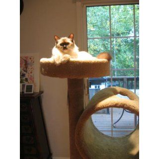 Molly and Friends "Tunnel of Fun" Premium Handmade 3 Tier Cat Tree with Sisal, Model 243, Beige : Cat Furniture : Pet Supplies