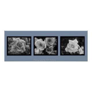 Trio of Roses On Blue  by TDGallery Posters