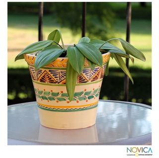 Handcrafted Ceramic 'Sayula' Majolica Flower Pot (Mexico) Novica Planters, Hangers & Stands