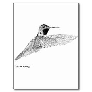 Hummingbird Postcards