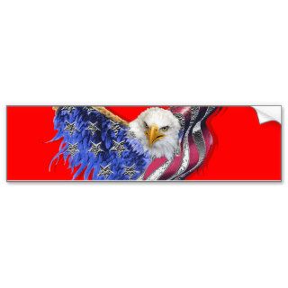 USA Eagle American Symbolism Bumper Sticker