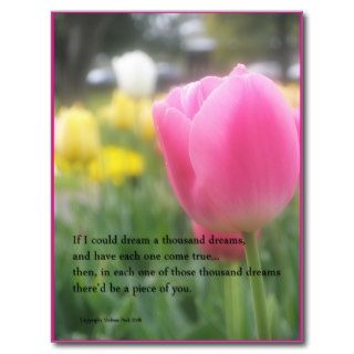 Pink Tulip Poem Postcard A Thousand Dreams