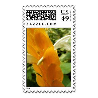 Golden Shrimp Plant Flower Postage Stamps