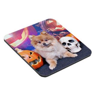 Halloween   Pomeranian   Simba Drink Coasters