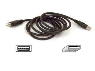 New   Pro Series USB A/B Extention Cable 6 ft   F3U134 06: Computers & Accessories