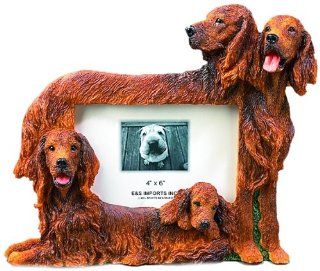 E&S Pets 35257 129 Large Dog Frames: Pet Supplies