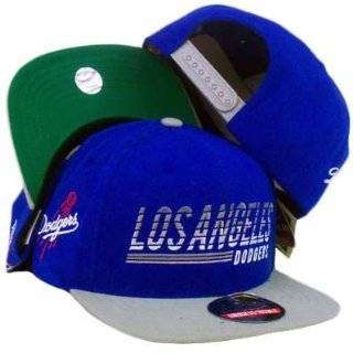 SNAPBACK HAT CAP LOS ANGELES DODGERS AMERICAN NEEDLE FLAT BILL BLUE GRAY WOOL  Sports Fan Baseball Caps  Sports & Outdoors