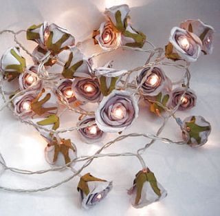 rose fairy lights by violette