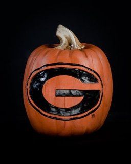 University of Georgia Bulldogs UGA Pumpkin Halloween Decoration : Sports Fan Home Decor : Sports & Outdoors