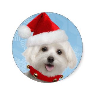 Maltese Puppy Christmas Stickers
