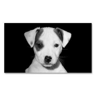 Jack Russell Terrier Puppy Business Card