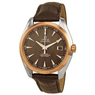 Omega Seamaster Aqua Terra Chronometer 231.23.42.21.06.001: Uhren