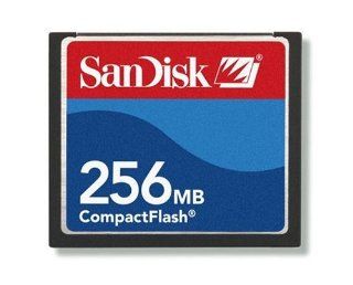 SanDisk CompactFlash Speicherkarte 256MB: Computer & Zubehr