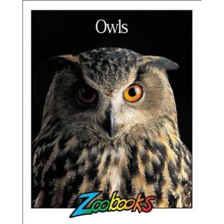 Owls (Zoobooks Series): Quality Productions: 9780937934326: Books