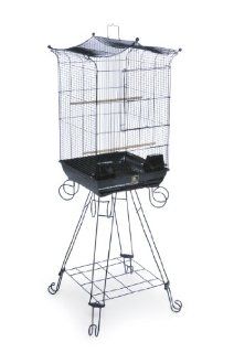 Prevue Pet Products Penthouse Suites Crown Top Bird Cage with Stand 261 Black, 16 Inch by 16 Inch by 26 Inch : Pet Supplies