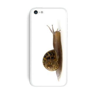 Graphics and More Snail Mollusk Protective Skin Sticker Case for Apple iPhone 5C   Set of 2   Non Retail Packaging   Opaque: Cell Phones & Accessories