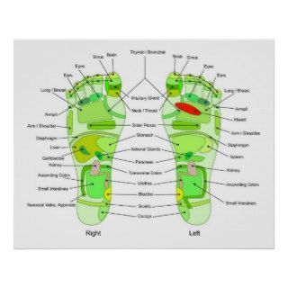 Foot Acupressure Diagram Poster