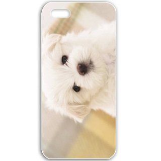 Apple iPhone 5 5S Cases Customized Gifts For Animals Maltese Puppy Wide Birds Cute Animals White: Cell Phones & Accessories