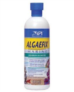 API Algaefix Marine, 16 Ounce : Aquarium Algae Scrapers : Pet Supplies