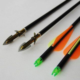 Buffalo Fiberglass Arrows Precision 31" for Outdoor Junior with Sharp Yellow Blades Unique Group for Archery 12PCS : Sports & Outdoors