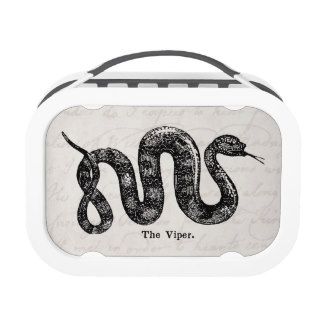 Vintage 1800s Viper Snake Antique Snakes Vipers Yubo Lunchboxes