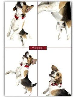 Funny Beagle Dog Jumping Christmas Holiday Greeting Cards 10 Pack Gifty Idea : Pet Care Products : Pet Supplies