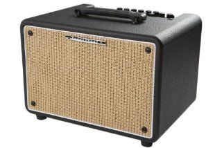 Ibanez Troubadour T150S 150W Stereo Acoustic Combo Amp Black: Musical Instruments