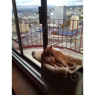 Sunny Seat Window Cat Bed : Pet Window Perches : Pet Supplies