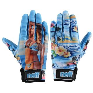 Neff Chameleon Gloves 2014