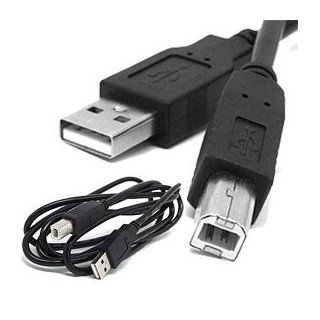 Importer520 Black 10 ft Hi Speed USB 2.0 Printer Scanner Cable Type A Male to Type B Male For HP, Canon, Lexmark, Epson, Dell: Electronics