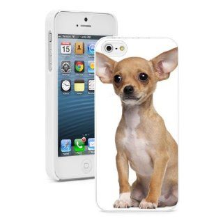 Apple iPhone 4 4S 4G White 4W538 Hard Back Case Cover Color Cute Light Brown Chihuahua Puppy Dog: Cell Phones & Accessories